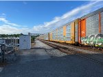 TTGX 824082